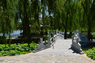 公园风景  