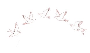 飞翔的鸽子矢量设计