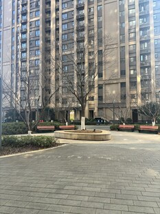 高层住宅区的开阔广场