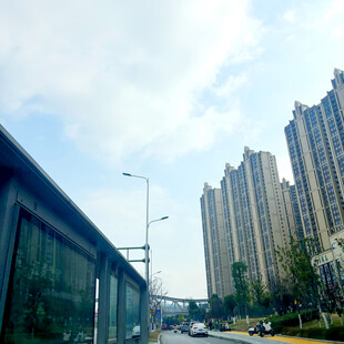 城市街道旁的高楼景观