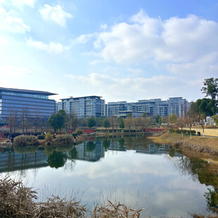湖畔城市风光美景
