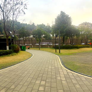 公园中的砖石铺就幽静小路