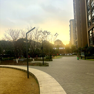 夕阳下的城市小区景观