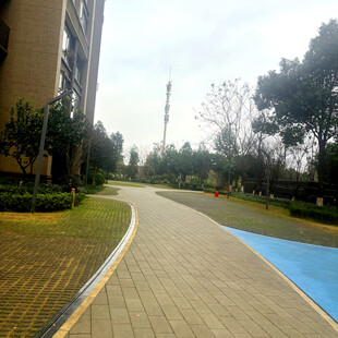 小区内的景观步道