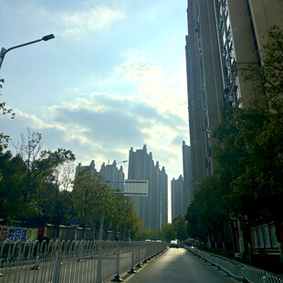 城市街道旁的高楼与远建筑