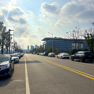 城市道路两旁停放的车辆