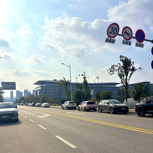 城市道路上的车辆与交通标识