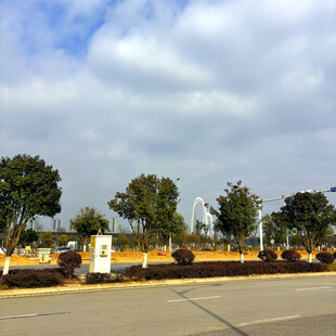 道路旁的绿化景观