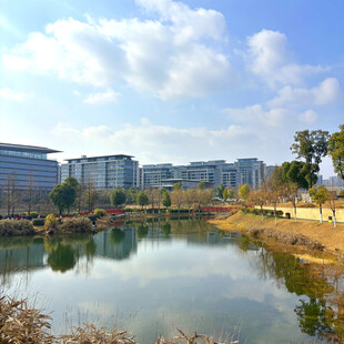 湖畔城市风光美景