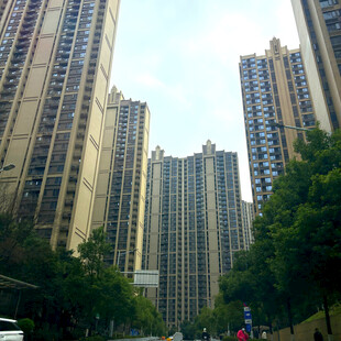 城市高楼林立的街道景观