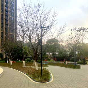 城市公园冬日景观