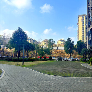 城市公园内的开阔景致