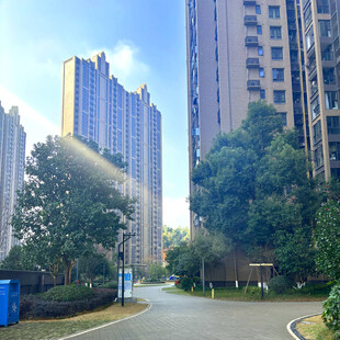 阳光照耀下的城市住宅区