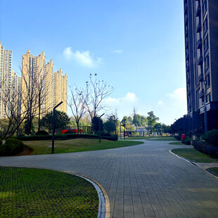 小区内的宽阔道路与景观