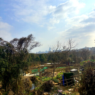 乡村田野风光景象