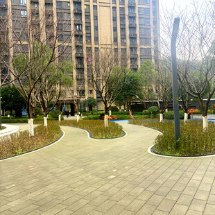 小区内的休闲步道景观