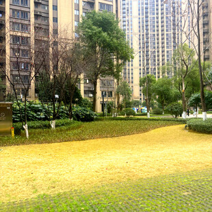 小区内的绿化休闲区域