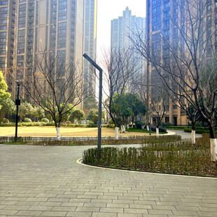 城市中静谧的公园步道