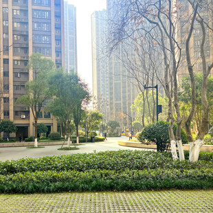 城市小区内的绿化景观