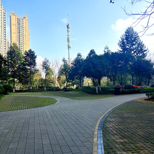 城市中静谧的公园景观