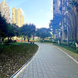 城市中的宁静休闲小道