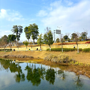 湖畔公园美景