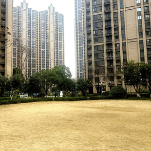 城市中的开阔草地与高楼