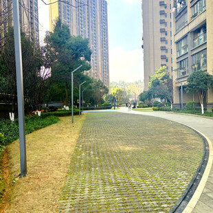 城市中静谧的砖石铺就小路