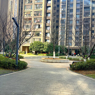 小区内的宁静景观步道