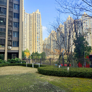 城市住宅区的绿地景观