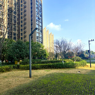 城市中绿意盎然的休闲区域