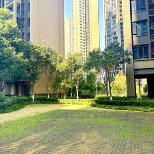 现代小区绿意盎然景观