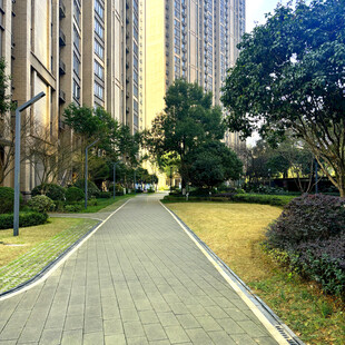 小区内的林荫步道景观