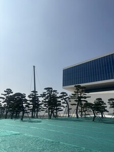 现代建筑前的绿树广场