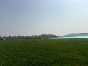 广阔绿草地与远处景观