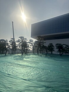 阳光下的建筑与绿植景观