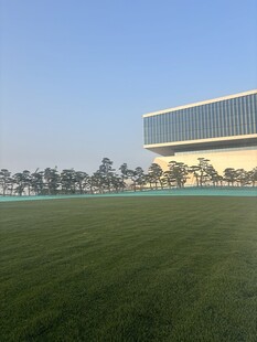 开阔草坪旁的现代建筑