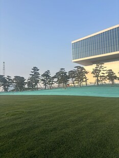 现代建筑旁的开阔绿草地