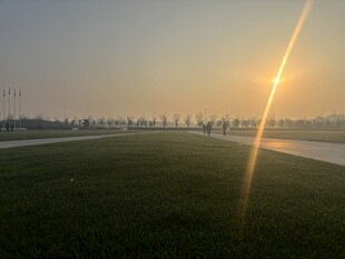 日出下的开阔草地景观