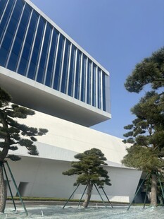 现代建筑旁的精致盆栽