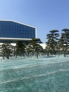 现代建筑旁的雪景树木