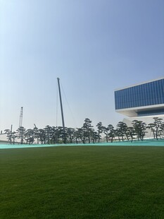 绿茵场地与现代建筑景观