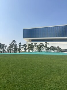 现代建筑前的大片绿草地