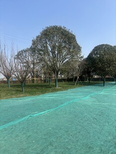 户外清澈碧绿的泳池景观