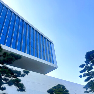 现代建筑外观与绿植景观