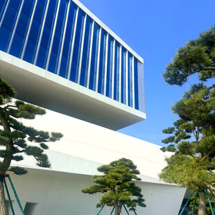 现代建筑旁的精致盆景