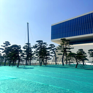 现代建筑旁的翠绿景观池