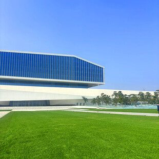 现代大楼前的大片绿草地