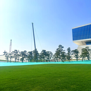 城市绿地旁的现代建筑景观