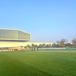 现代体育场与开阔草坪